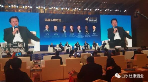 2017（第十二届）品牌人物峰会.白水杜康获：“文(图5)