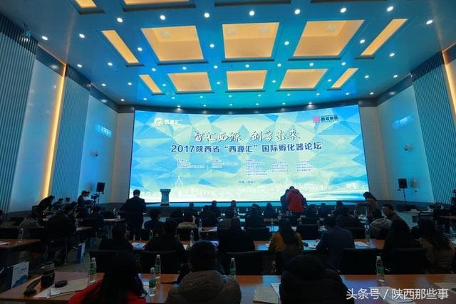 2017陕西沣西新城“西源汇”创业服务峰会国际孵(图8)