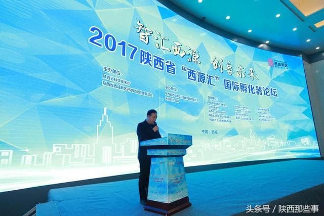 2017陕西沣西新城“西源汇”创业服务峰会国际孵(图9)