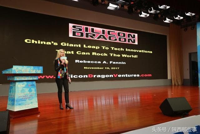 2017陕西沣西新城“西源汇”创业服务峰会国际孵(图5)